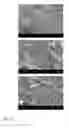 Fig. 08 - Method And Apparatus For Producing Particles Via Supercritical Fluid Processing