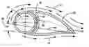 Fig. 01 - Fluid dynamic foil with Coanda energizer