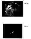 Fig. 37 - Ion sources, systems and methods