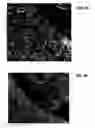 Fig. 40 - Ion sources, systems and methods