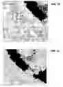 Fig. 40 - Ion sources, systems and methods