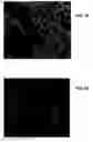 Fig. 34 - Ion sources, systems and methods