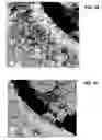 Fig. 40 - Ion sources, systems and methods