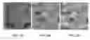 Fig. 03 - Method and apparatus for projection of subsurface structure onto an object's surface