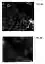 Fig. 40 - Ion sources, systems and methods