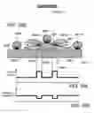 Fig. 28 - Ion sources, systems and methods