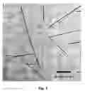Fig. 03 - Compositions comprising nanorods and methods of making and using them