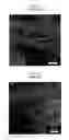 Fig. 02 - Method of cutting carbon nanotubes
