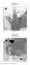 Fig. 03 - Method of cutting carbon nanotubes
