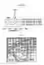 Fig. 04 - Method of cutting carbon nanotubes