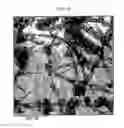 Fig. 11 - Method of cutting carbon nanotubes