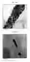 Fig. 12 - Method of cutting carbon nanotubes