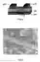 Fig. 03 - Active electronic devices with nanowire composite components