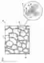 Fig. 02 - Organic semiconductor having polymeric and nonpolymeric constituents