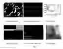 Fig. 02 - ZnO nanostructure-based light emitting device
