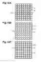 Fig. 17 - Photodiode array, method for manufacturing same, and radiation detector