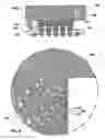 Fig. 02 - Chip package thermal interface materials with dielectric obstructions for body-biasing, methods of using same, and systems containing same