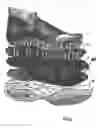 Fig. 06 - Process for making a shoe inner sole
