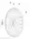 Fig. 09 - Multi-Piece Wheel Having An Independently Rotating Lip And Integrated Fiber Optics
