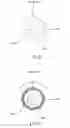 Fig. 06 - Water pump and bearing thereof