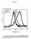 Fig. 05 - Transparent-cathode for top-emission organic light-emitting diodes