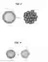 Fig. 03 - Decentralized solution of microscopic particles and circuit formation device