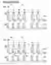 Fig. 08 - Circuit for inspecting semiconductor device and inspecting method