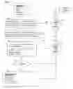 Fig. 06 - Method for analyzing hair