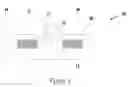 Fig. 08 - Methodology and Apparatus for the Detection of Biological Substances