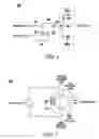 Fig. 05 - Information protection using a printed electronic circuit and laser impression