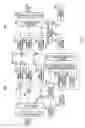 Fig. 08 - Transmitting/receiving apparatus and transmitting/receiving method
