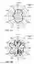 Fig. 08 - Antenna structures having adjustable radiation characteristics