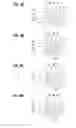 Fig. 09 - LIQUID CRYSTAL DISPLAY DEVICE AND LIQUID CRYSTAL DRIVER