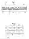 Fig. 02 - Phoretic cell