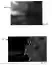 Fig. 06 - Method for creating a stereoscopic image master for imaging methods with three-dimensional depth rendition and device for displaying a steroscopic image master