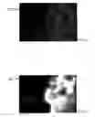Fig. 07 - Method for creating a stereoscopic image master for imaging methods with three-dimensional depth rendition and device for displaying a steroscopic image master