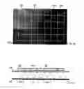 Fig. 13 - Method for creating a stereoscopic image master for imaging methods with three-dimensional depth rendition and device for displaying a steroscopic image master