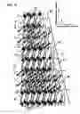 Fig. 06 - Inkjet head capable of suppressing hindrance of deformation of a piezoelectric element