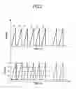 Fig. 04 - Image forming method and charged particle beam apparatus
