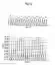 Fig. 10 - Image forming method and charged particle beam apparatus
