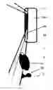 Fig. 01 - Mirror for improved visibility of danger zone area on right side of school buses