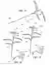 Fig. 10 - Illuminated artificial flowers and manufacturing and assembly methods thereof