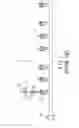 Fig. 02 - Lamp string