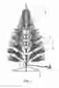 Fig. 03 - LED fiber decorative lamp structure