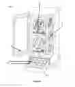 Fig. 04 - Watch-winding apparatus