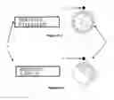 Fig. 18 - Watch-winding apparatus