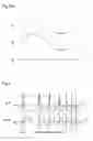 Fig. 04 - Repetitive control device and optical disc device