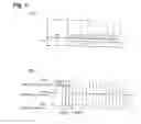Fig. 02 - Rewritable optical recording medium and optical recording method