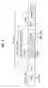 Fig. 05 - Method and apparatus for overwriting data on recording-medium and the recording medium
