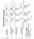 Fig. 02 - Interleaved wireless mesh network